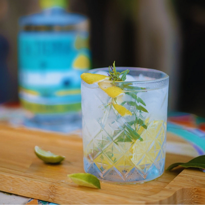 Tankwa Tonic cocktail made with La Tierra Agave Blanco, tonic water, and lime, a 100% Karoo agave spirit and South African tequila.