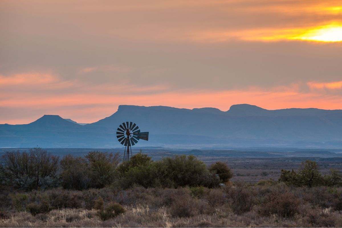 Karoo desert landscape where La Tierra Agave sources Karoo agave for South African agave spirit